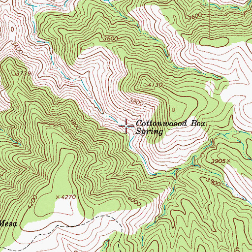 Topographic Map of Cottonwood Box Spring, AZ