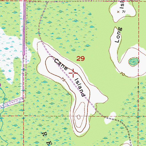 Topographic Map of Cane Island, FL