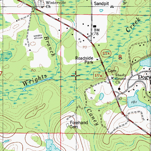 Topographic Map of Caney Branch, FL