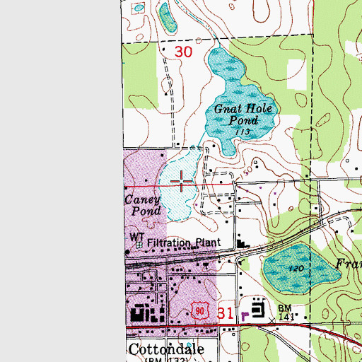 Topographic Map of Caney Pond, FL