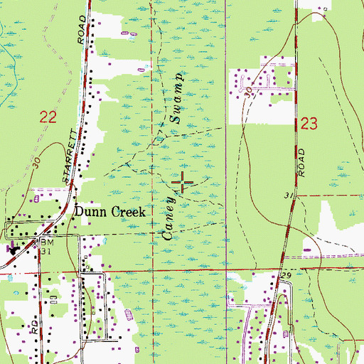 Topographic Map of Caney Swamp, FL