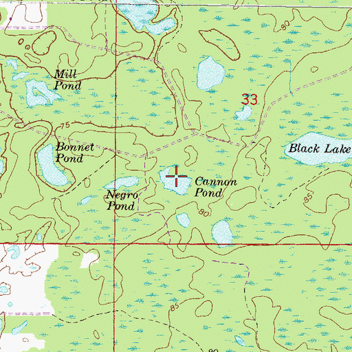 Topographic Map of Cannon Pond, FL