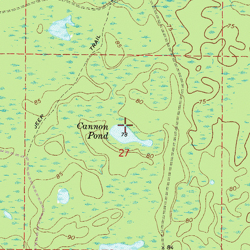 Topographic Map of Cannon Pond, FL