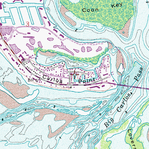 Topographic Map of Carlos Point, FL