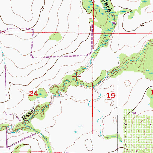 Topographic Map of Carlton Branch, FL