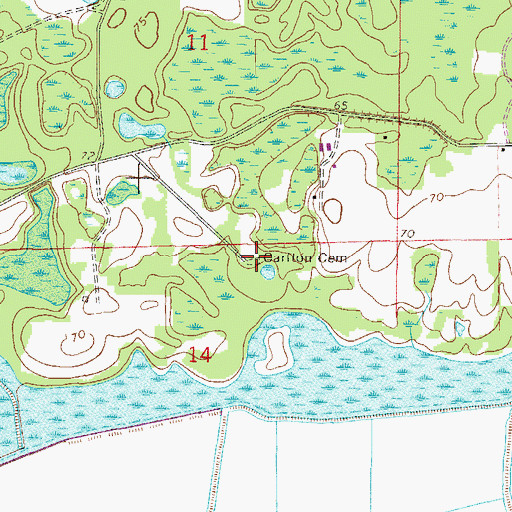 Topographic Map of Carlton Cemetery, FL