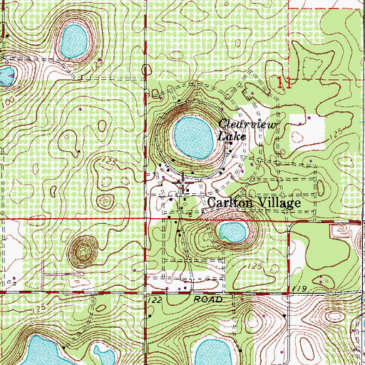 Topographic Map of Carlton Village, FL