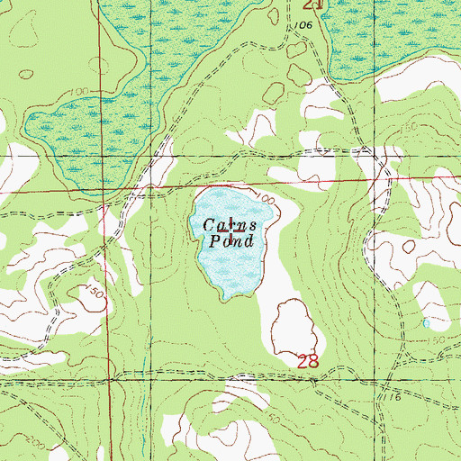 Topographic Map of Carns Pond, FL