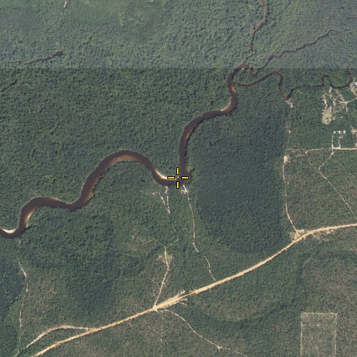 Aerial/Satellite Image of Carr Spring Branch, FL