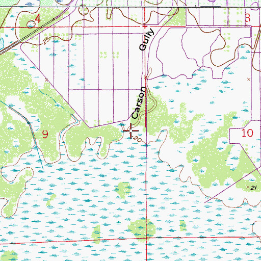 Topographic Map of Carson Gully, FL