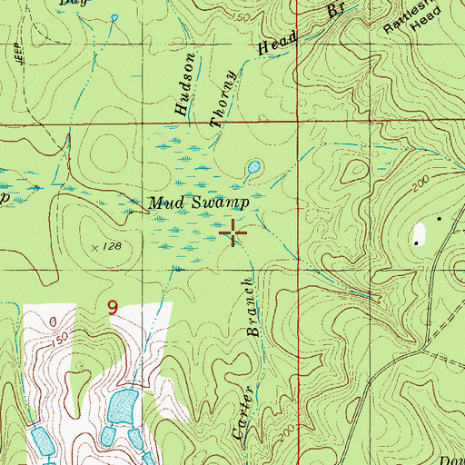 Topographic Map of Carter Branch, FL