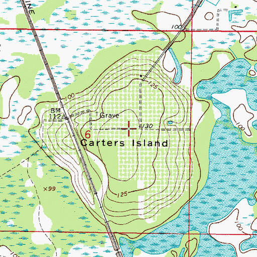 Topographic Map of Carters Island, FL