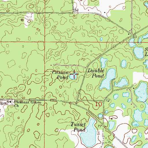 Topographic Map of Casson Pond, FL