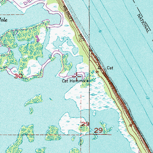 Topographic Map of Cat Hammock, FL