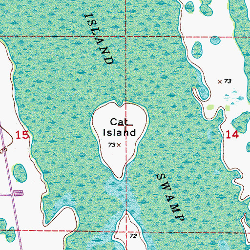Topographic Map of Cat Island, FL
