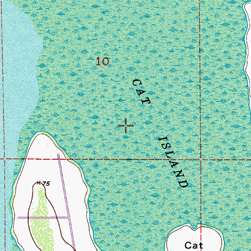 Topographic Map of Cat Island Swamp, FL