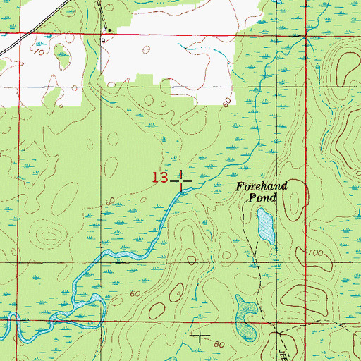 Topographic Map of Catfish Branch, FL