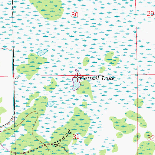 Topographic Map of Cattail Lake, FL