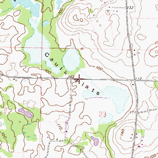 Topographic Map of Caulk Flats, FL