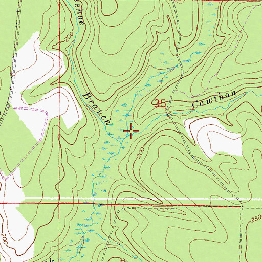 Topographic Map of Cawthon Branch, FL