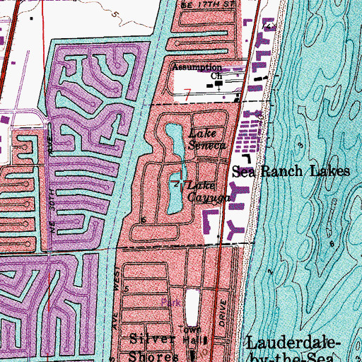Topographic Map of Lake Cayuga, FL