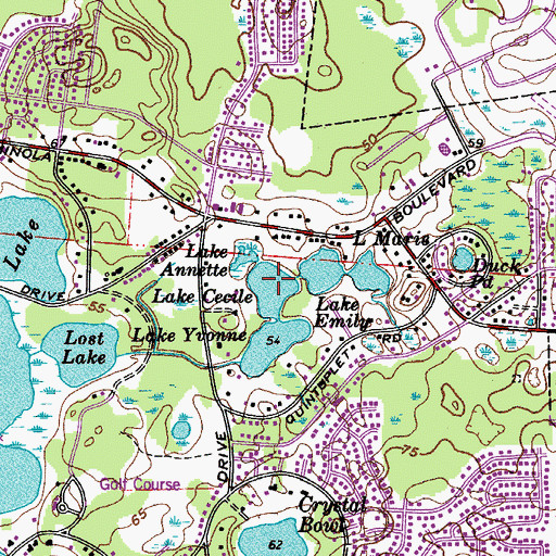 Topographic Map of Lake Cecile, FL