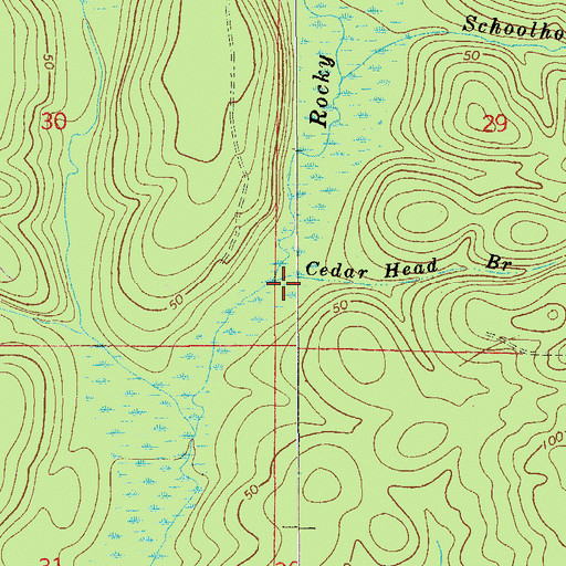 Topographic Map of Cedar Head Branch, FL