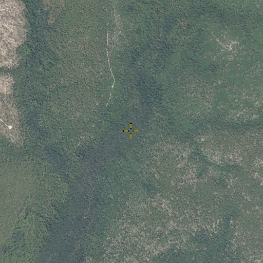 Aerial/Satellite Image of Cedar Head Branch, FL