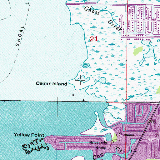 Topographic Map of Cedar Island, FL