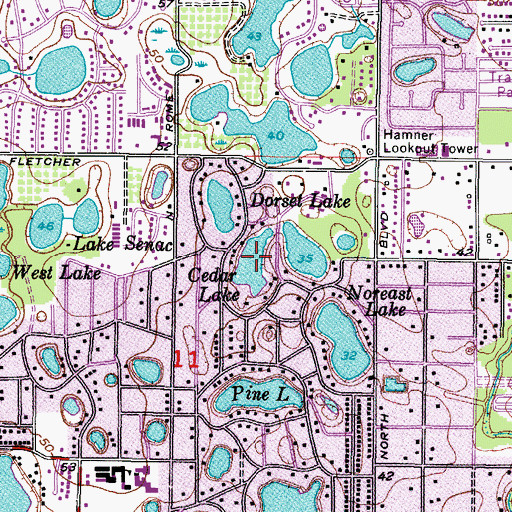 Topographic Map of Cedar Lake, FL