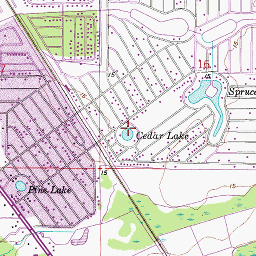 Topographic Map of Cedar Lake, FL
