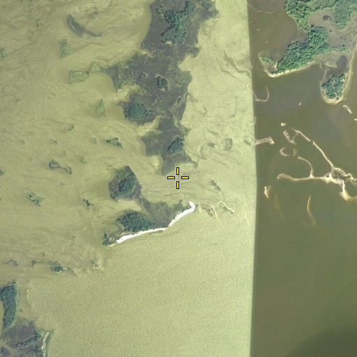 Aerial/Satellite Image of Cedar Point, FL