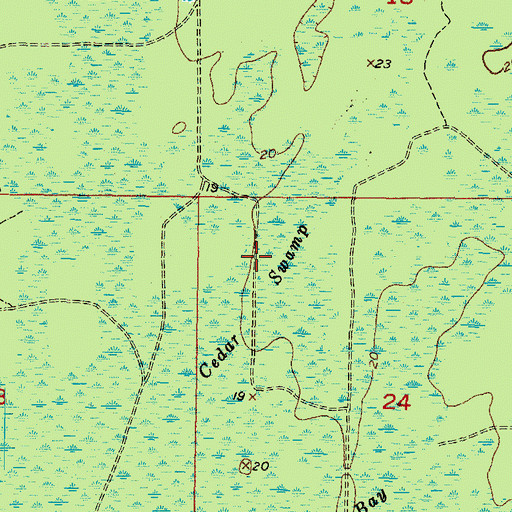 Topographic Map of Cedar Swamp, FL