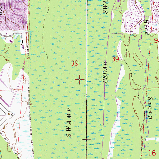 Topographic Map of Cedar Swamp, FL