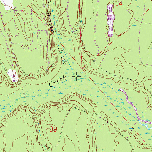 Topographic Map of Cedar Swamp Creek, FL