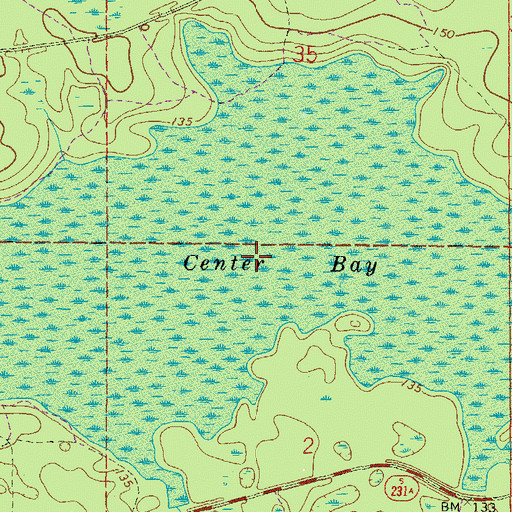 Topographic Map of Center Bay, FL