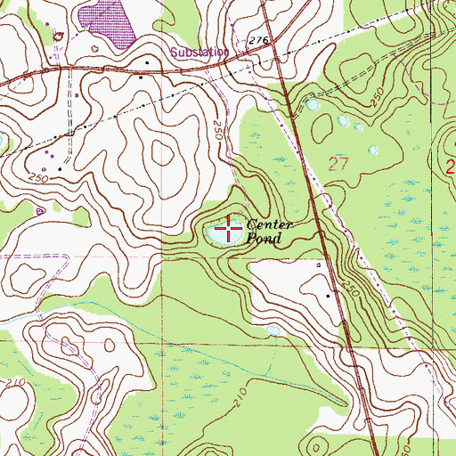 Topographic Map of Center Pond, FL