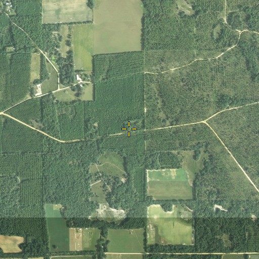 Aerial/Satellite Image of Central School, FL
