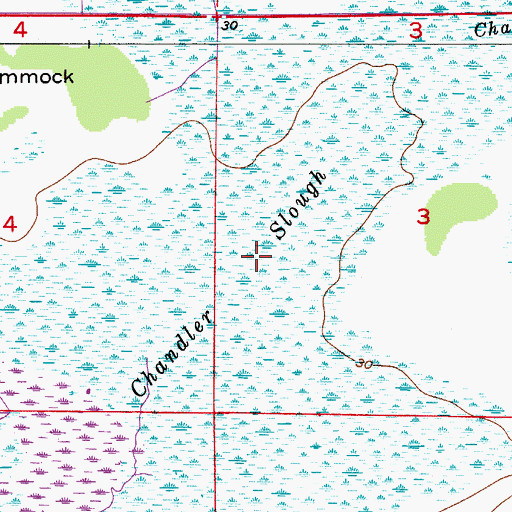Topographic Map of Chandler Slough, FL
