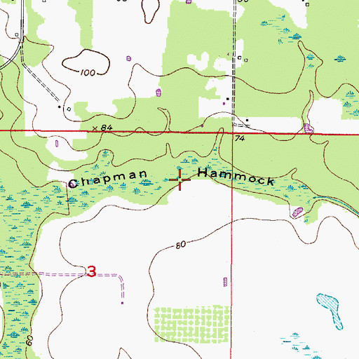 Topographic Map of Chapman Hammock, FL