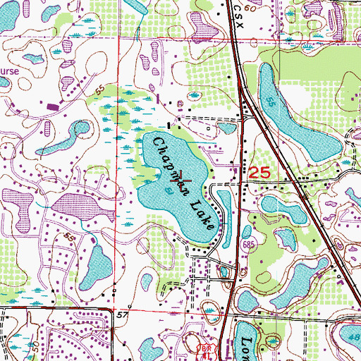 Topographic Map of Chapman Lake, FL