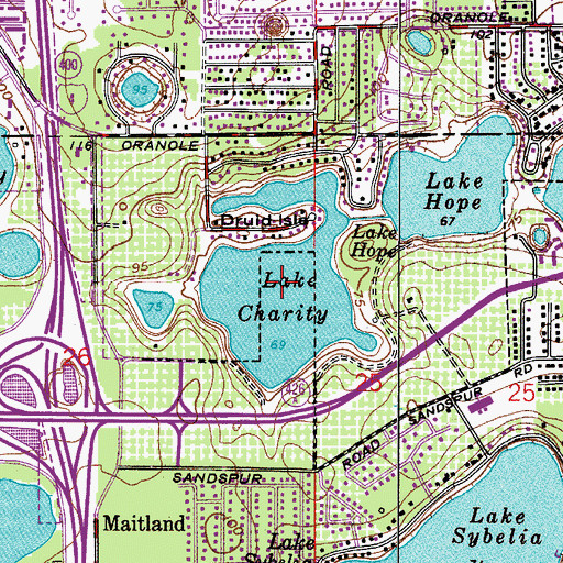 Topographic Map of Lake Charity, FL
