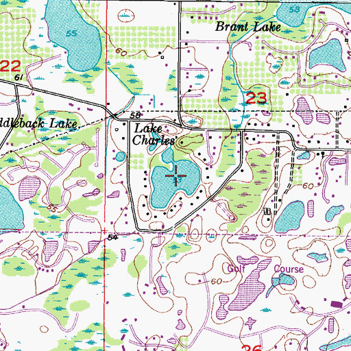 Topographic Map of Lake Charles, FL