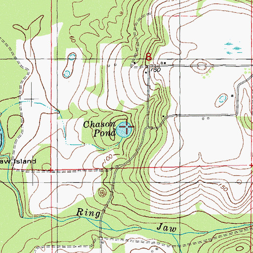 Topographic Map of Chason Pond, FL