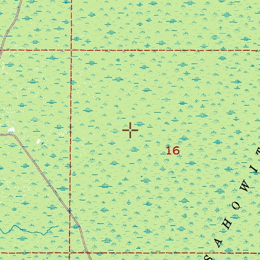 Topographic Map of Chassahowitzka Swamp, FL