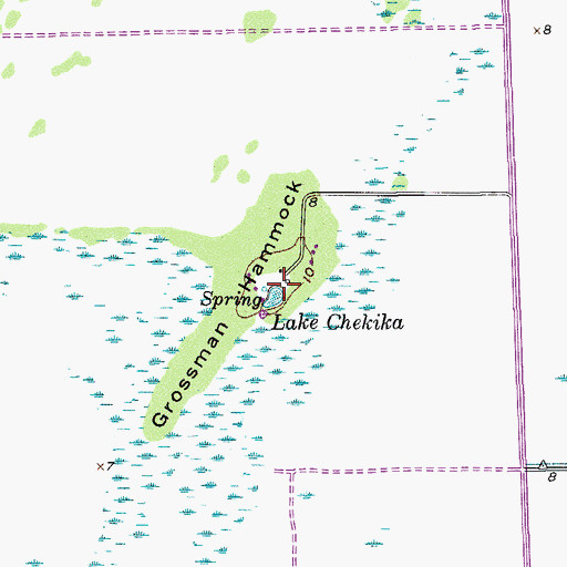 Topographic Map of Lake Chekika, FL