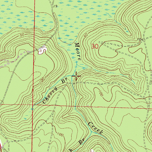 Topographic Map of Cherry Branch, FL
