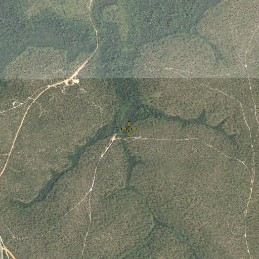 Aerial/Satellite Image of Cherry Branch, FL