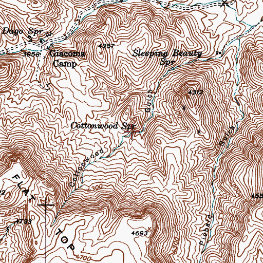 Topographic Map of Cottonwood Spring, AZ