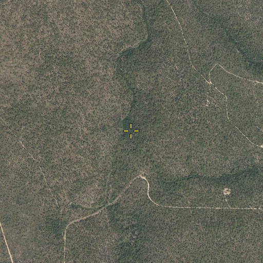 Aerial/Satellite Image of Cherry Branch, FL